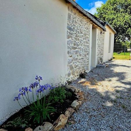 Gite De Felicite, Calme Et Nature Savenay Exteriér fotografie