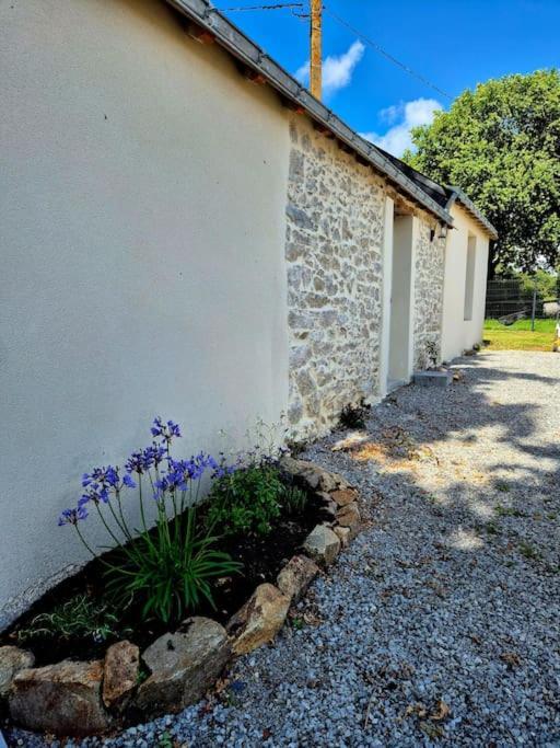 Gite De Felicite, Calme Et Nature Savenay Exteriér fotografie
